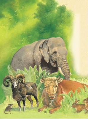 Библия для детей с доставкой по Минску от 70 рублей бесплатно!